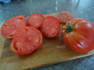 Improved Polish Paste Tomato