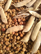 Load image into Gallery viewer, Margaret McKee's Baking Pea Seeds
