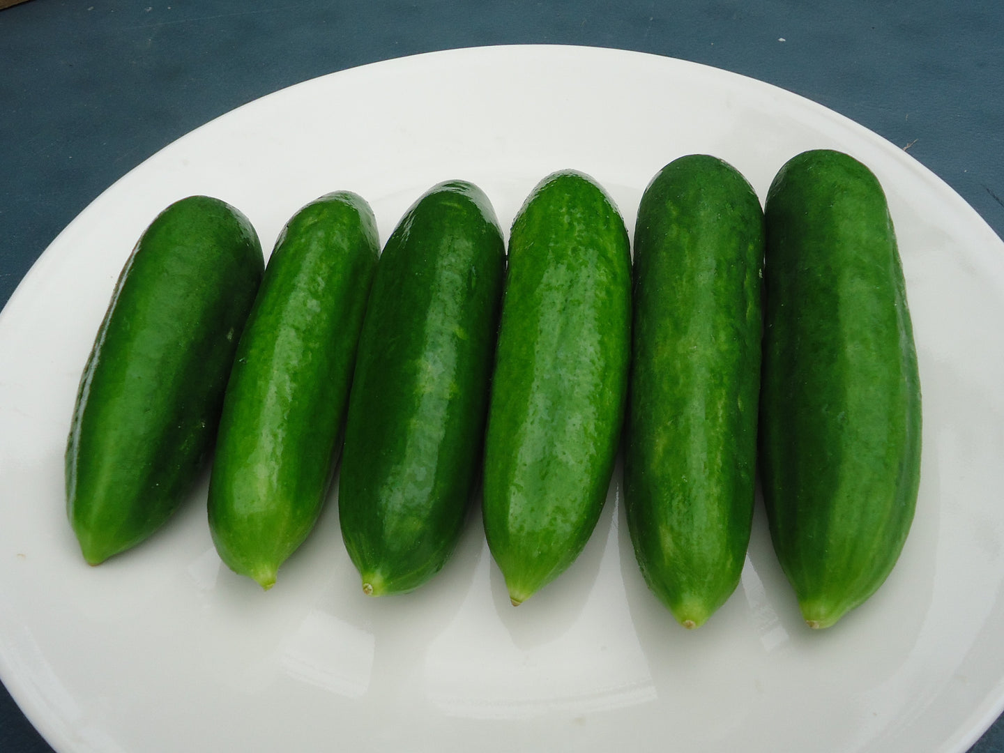 Muncher Cucumber