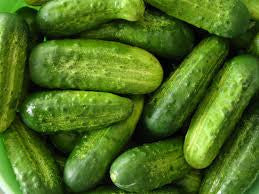 National Pickling Cucumber