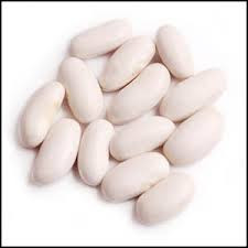 Ruckle Bush Bean