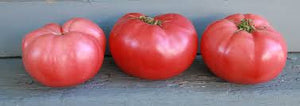 Brilliant Pink Tomato