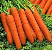 Carrot-Touchon