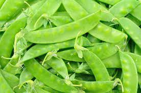 Heilong Jiang Snow Pea