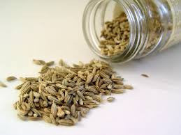 Fennel (Foeniculum vulgare) Seed Tincture