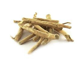 Ashwagandha (Withania somnifera) Fresh and Dried Root Tincture