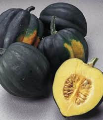 Table King Acorn (Cucurbita pepo)