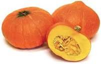 Red Kuri Squash (C. maxima)