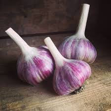 Red Russian Garlic