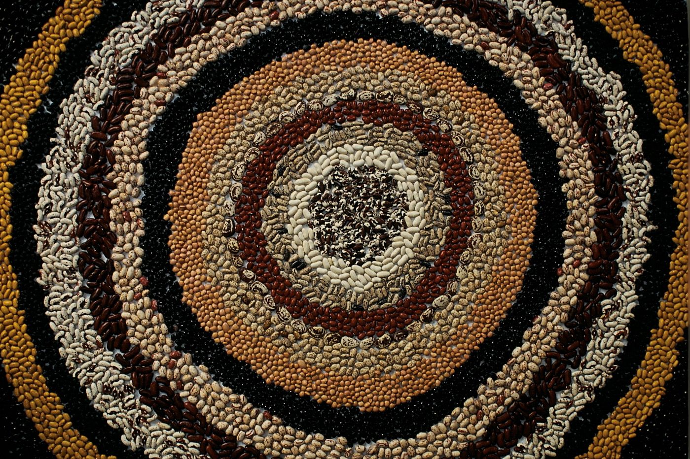 A Community Seed Kit