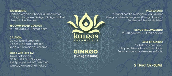 NEW Ginkgo (Ginkgo biloba) Fresh & Dried Leaf Tincture