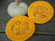 Hokkaido Squash Seeds