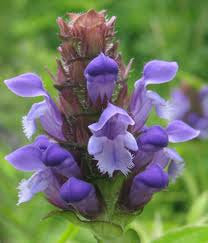 Self Heal