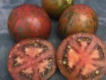 Pink Boar Tomato