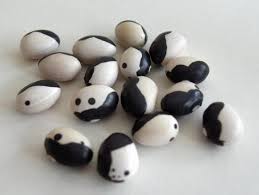 Orca Bush Bean