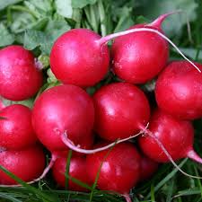 Radish-Cherry Belle