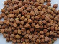 Desi Chickpea