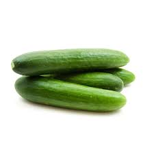 Cucumber - Long Green
