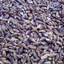 2-Row Purple Barley