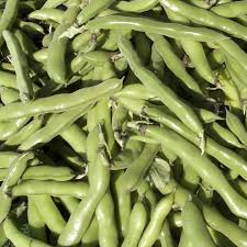Sweet Lorane Fava
