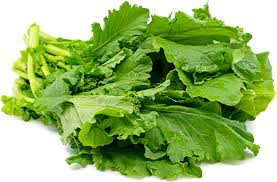 Rapini