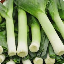 Leek-Linnaea
