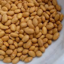 Swedish Brown Bush Dry Bean