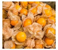 Goldenberry/Cape Goosebery (Physalis peruviana)