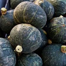 Black Forest Kabocha Squash