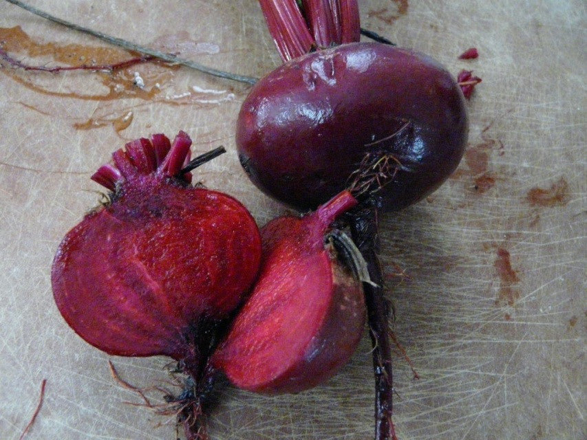 Beet-Early Wonder Tall Top